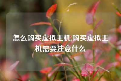怎么购买虚拟主机,购买虚拟主机需要注意什么