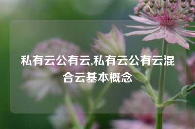 私有云公有云,私有云公有云混合云基本概念