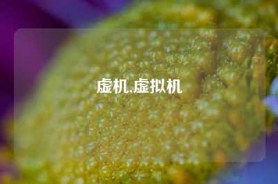 虚机,虚拟机