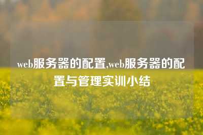 web服务器的配置,web服务器的配置与管理实训小结