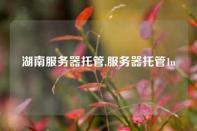 湖南服务器托管,服务器托管1u