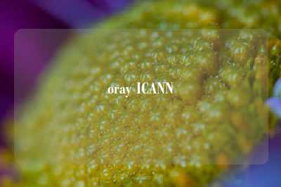 oray ICANN
