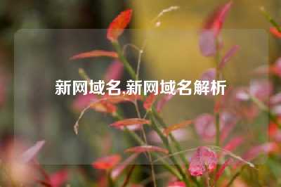 新网域名,新网域名解析