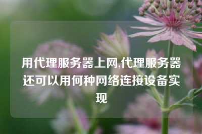 用代理服务器上网,代理服务器还可以用何种网络连接设备实现