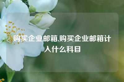 购买企业邮箱,购买企业邮箱计入什么科目