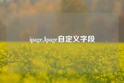 ipage,Ipage自定义字段