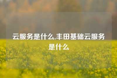 云服务是什么,丰田基础云服务是什么