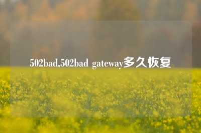502bad,502bad gateway多久恢复