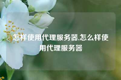 怎样使用代理服务器,怎么样使用代理服务器