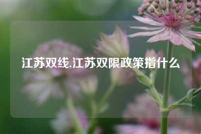 江苏双线,江苏双限政策指什么