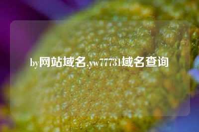 by网站域名,yw77731域名查询