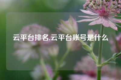 云平台排名,云平台账号是什么
