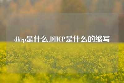 dhcp是什么,DHCP是什么的缩写