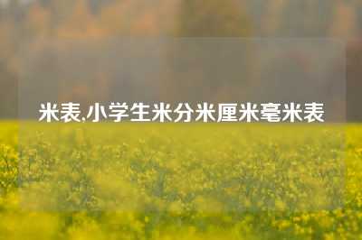 米表,小学生米分米厘米毫米表