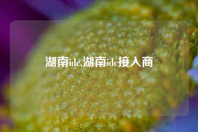 湖南idc,湖南idc接入商