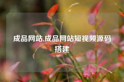 成品网站,成品网站短视频源码搭建