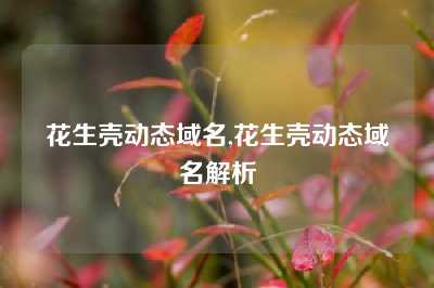 花生壳动态域名,花生壳动态域名解析