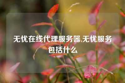 无忧在线代理服务器,无忧服务包括什么