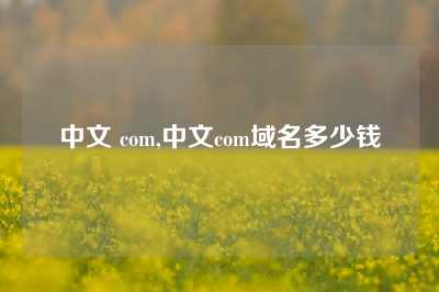 中文 com,中文com域名多少钱