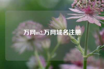 万网m2,万网域名注册