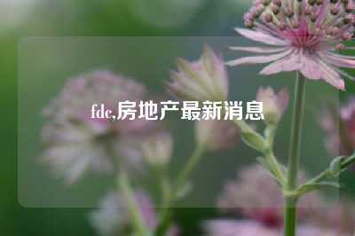 fdc,房地产最新消息