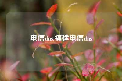 电信dns,福建电信dns