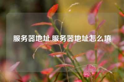服务器地址,服务器地址怎么填
