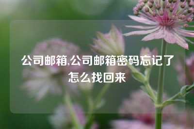 公司邮箱,公司邮箱密码忘记了怎么找回来