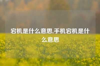 宕机是什么意思,手机宕机是什么意思