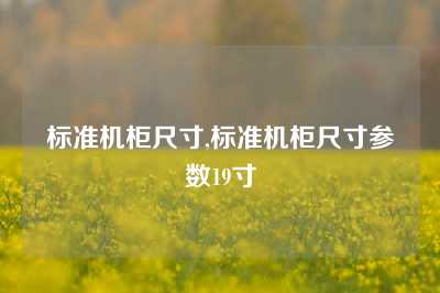 标准机柜尺寸,标准机柜尺寸参数19寸