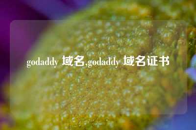 godaddy 域名,godaddy 域名证书