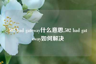 502 bad gateway什么意思,502 bad gateway如何解决