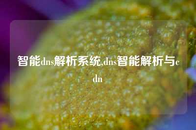 智能dns解析系统,dns智能解析与cdn