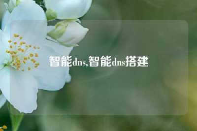 智能dns,智能dns搭建
