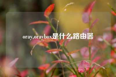 oray,oraybox是什么路由器