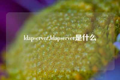 ldapserver,ldapserver是什么