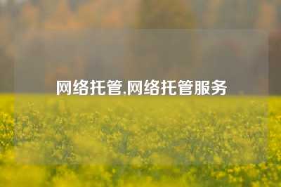 网络托管,网络托管服务