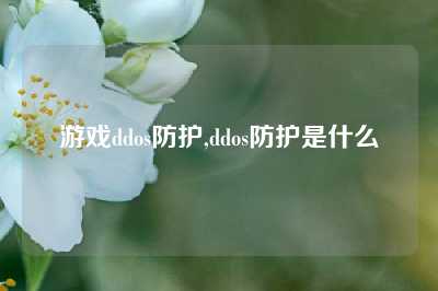 游戏ddos防护,ddos防护是什么