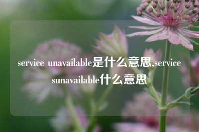 service unavailable是什么意思,servicesunavailable什么意思