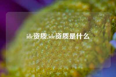 idc资质,idc资质是什么