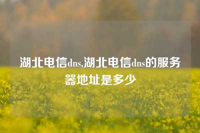 湖北电信dns,湖北电信dns的服务器地址是多少