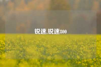 锐速,锐速800