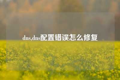 dns,dns配置错误怎么修复