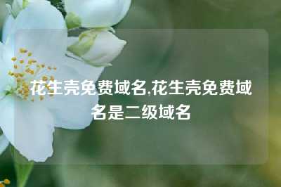 花生壳免费域名,花生壳免费域名是二级域名
