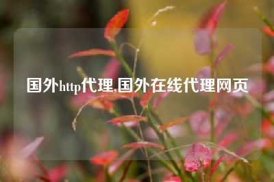 国外http代理,国外在线代理网页