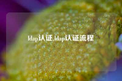 ldap认证,ldap认证流程