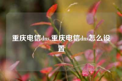 重庆电信dns,重庆电信dns怎么设置