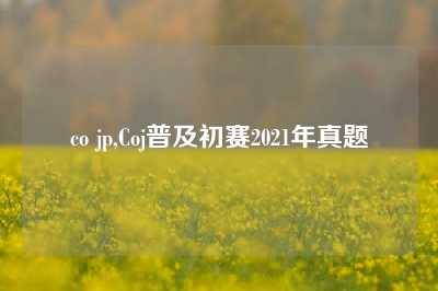 co jp,Coj普及初赛2021年真题
