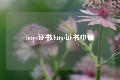 https证书,https证书申请