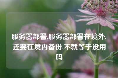 服务器部署,服务器部署在境外,还要在境内备份,不就等于没用吗